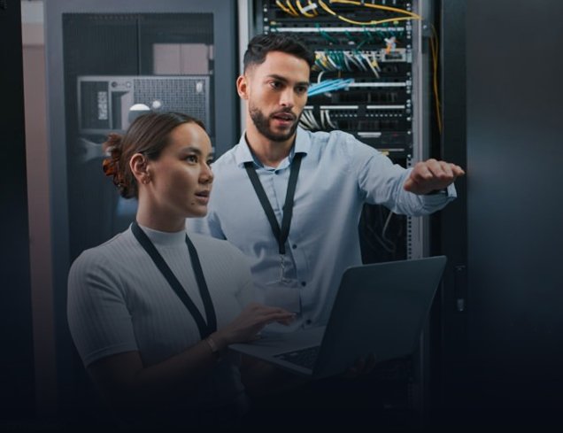 IT Professionals